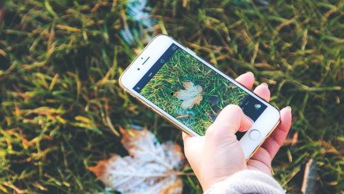 手机看片国产永久福利,国产福利大片，尽在掌握